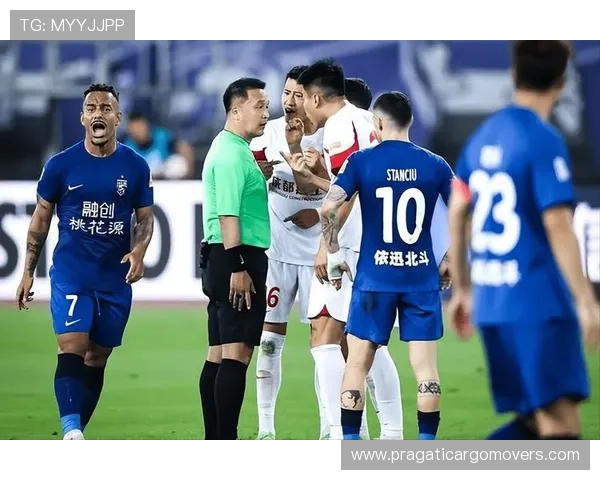 米特里策赛后道歉 可能面临足协处罚