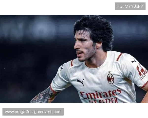 纽卡或卖球星托纳利受关注 纽卡或卖球星托纳利受关注